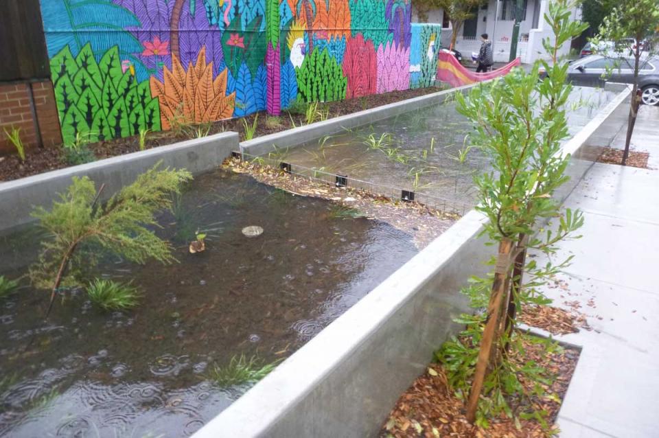 inner West Council Project _ Bioretention Basin