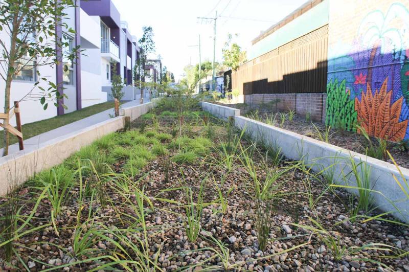 inner West Council Project _ Bioretention Basin